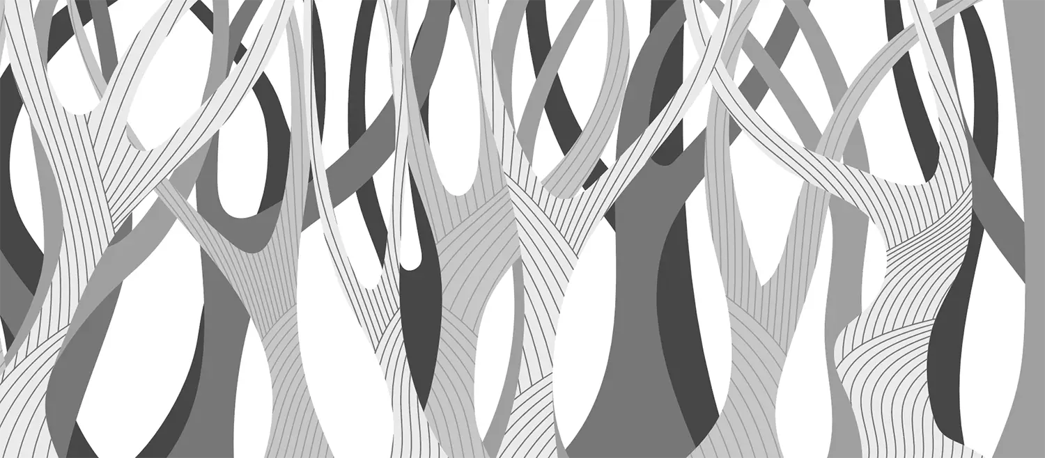 WPTX 0011 - Imagen 3