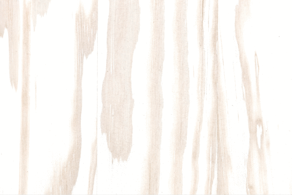 WPJX 0038 – Wall Project