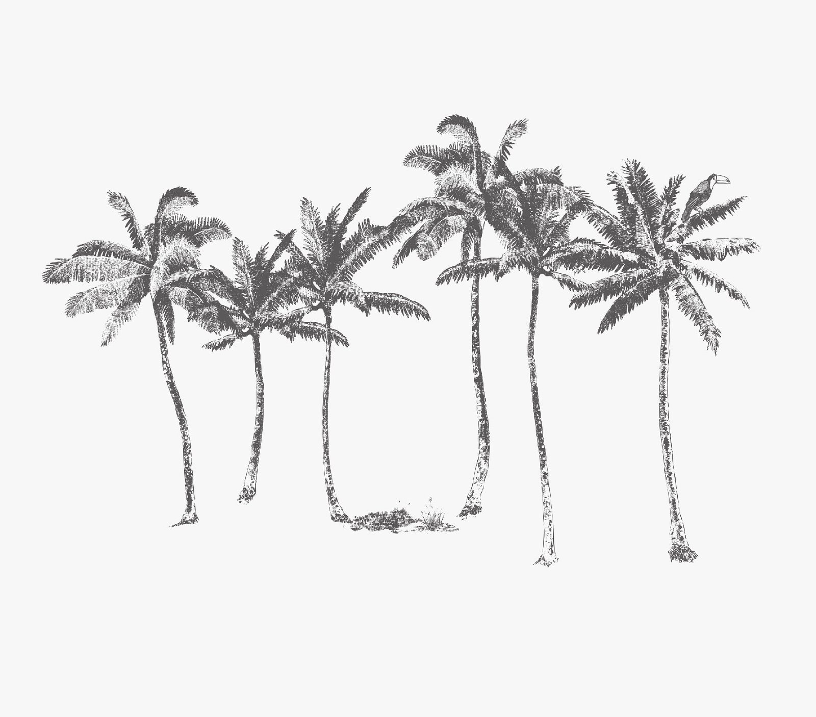 WPN 00121
