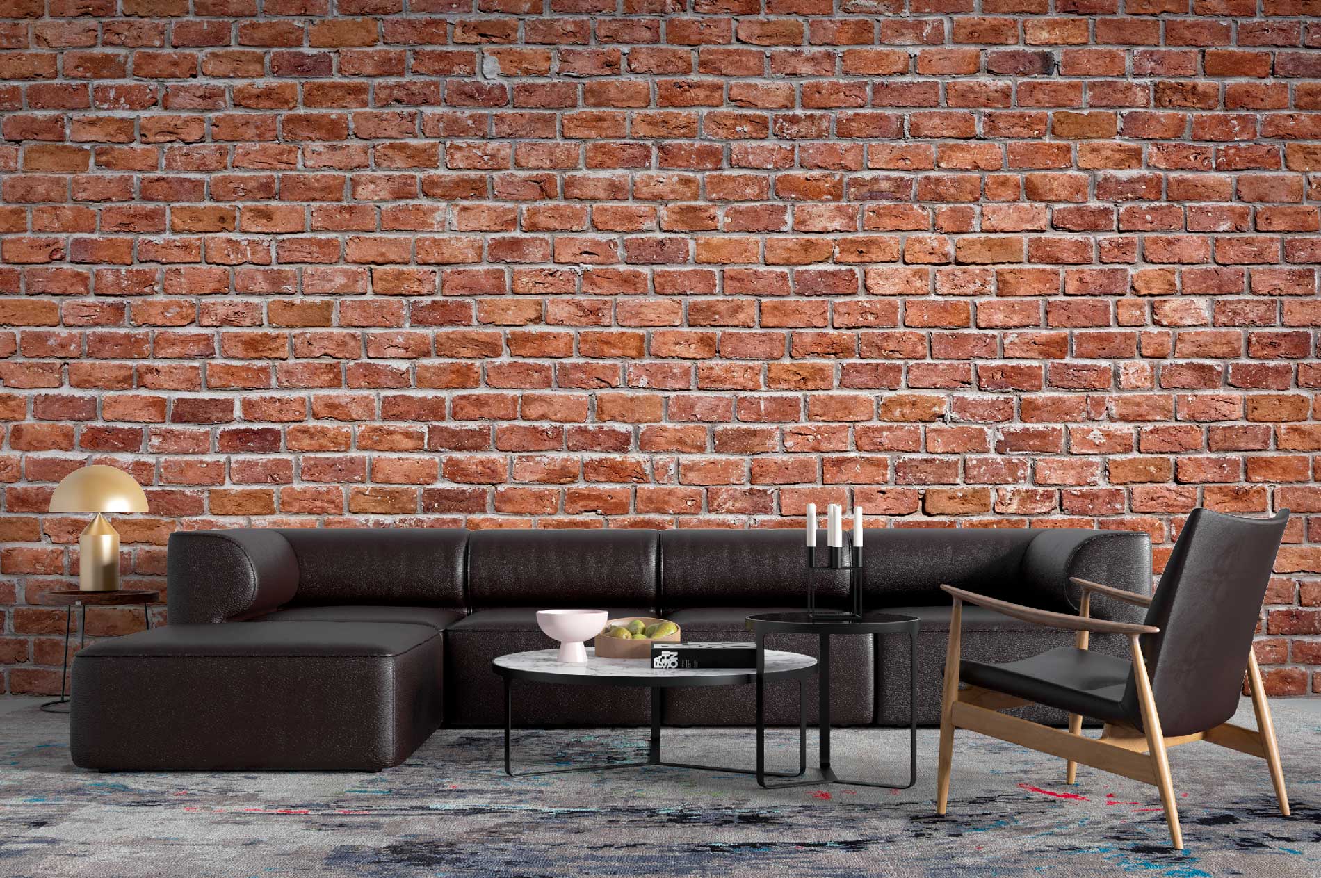 WPTX 00135 - Imagen 2