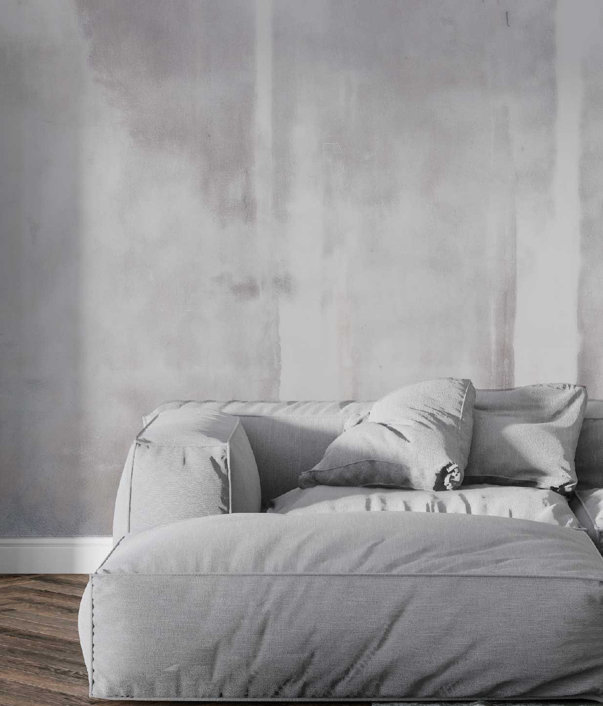 WPTX 00148 - Imagen 3