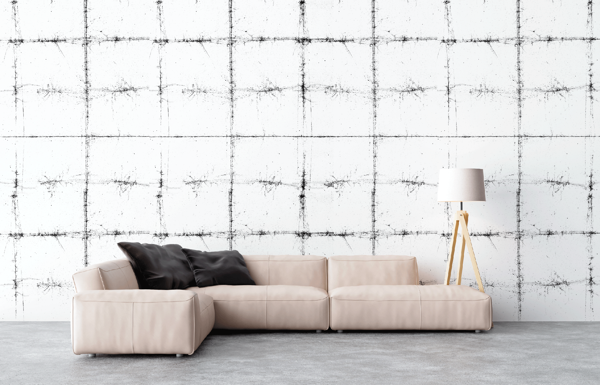 WPTX 0036 - Imagen 2