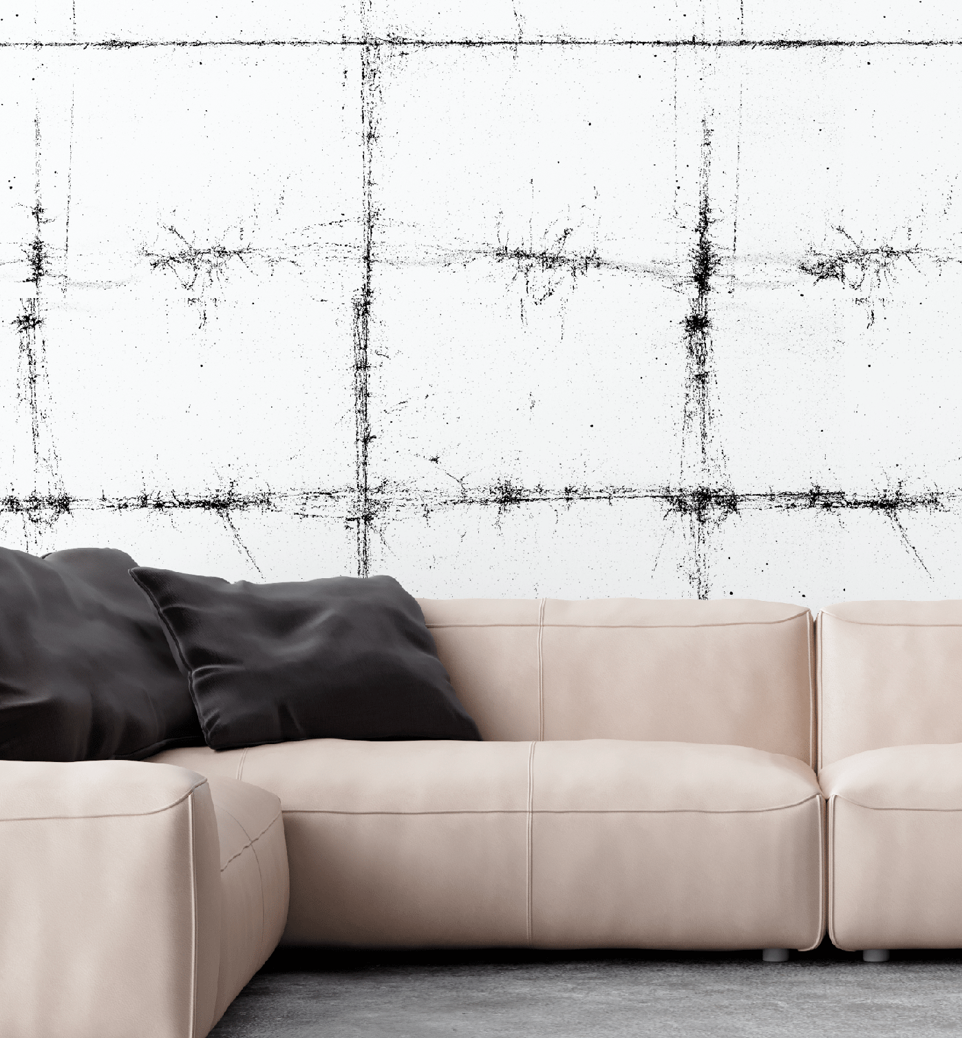 WPTX 0036 - Imagen 3